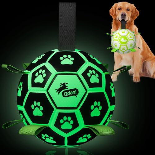 QDAN Premium Glow in The Dark Dog Toys, Dog Ball with Straps, Soccer Ball for Dogs, Outdoor Dog Toys, Pet Birthday Toys, Puppy Essentials for Medium to Large (8Inch) - color: Glow in the dark I, size: Large