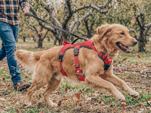 Tuff Pupper Escape Proof No Escape Dog Harness | 5 Point Adjustable Fit Harness for Dogs | Padded Dog Harnesses | Handle Dog Lift Harnesses - color: March Red, size: Large: 27-32 Inch Chest