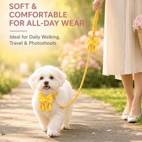 Dog Collar and Leash Set with Bowtie, Soft & Cute Puppy Collar, Cotton Puppy Collar with Adjustable Metal Buckle for Small, Medium Dog (Yellow, Size M: Neck 13"-22") - color: Yellow, size: M: Neck 13"-22" Leash 5 FT