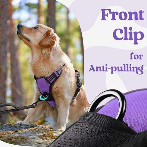 rabbitgoo Dog Harness Small Sized, No Pull Pet Harness with 3 Buckles, Adjustable Soft Padded Vest with Control Handle, Walking Reflective Pet Vest for Small Dogs, Purple, S - color: Purple, size: Small
