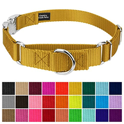 Country Brook Petz - Martingale Dog Collar - Heavy Duty Nylon Adjustable Martingale Dog Collar with Premium Buckle for Small Medium Large Breeds (5/8 Inch, Extra Small, Gold) - color: Gold, size: Extra Small (Pack of 1)