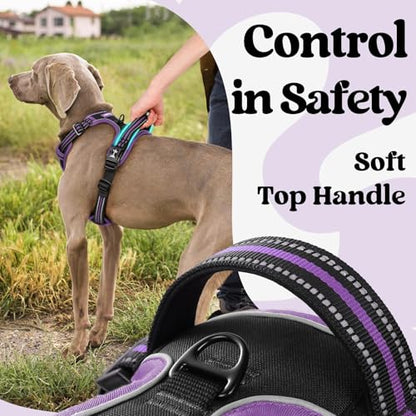 rabbitgoo Dog Harness Small Sized, No Pull Easy On & Off with 3 Buckles Pet Harness, Adjustable Soft Walking Vest with 2 Clips and Handle, Reflective for Small Dogs, Black & Purple, S - color: Black & Purple, size: Small