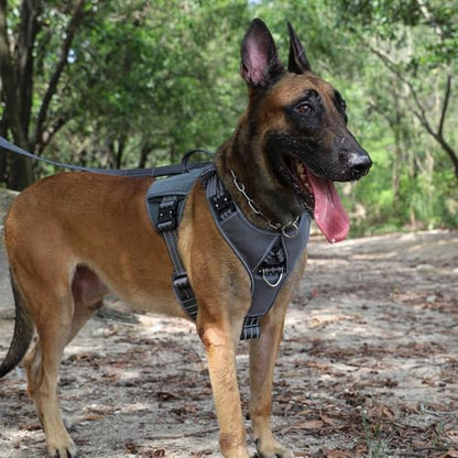 ICEFANG GN8 Tactical Dog Harness with 4X Metal Buckles for Medium Sized Dogs,Reflective in Training Walking K9 Dog Vest,No-Pull Front Leash Clip,Adjustable Pet Harness (Grey, Medium (Pack of 1)) - color: Grey, size: Medium (Pack of 1)