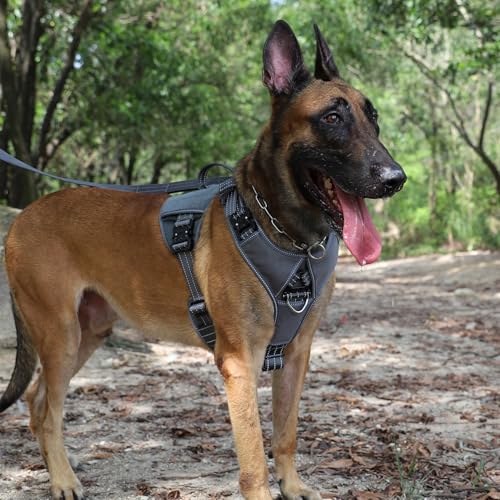 ICEFANG GN8 Tactical Dog Harness with 4X Metal Buckles for Large Sized Dogs,Reflective in Training Walking K9 Dog Vest,No-Pull Front Leash Clip,Adjustable Pet Harness (Grey, Large (Pack of 1)) - color: Grey, size: Large (Pack of 1)