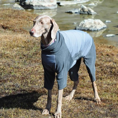 ROZKITCH Dog Coats for Small Dogs, Warm Waterproof Jacket Fleece Fullbody Clothes Jumpsuit, Dog Winter Cold Weather Coat Pajamas, Four-Legged Snowsuit with Leash Hole, Grey S - color: Grey, size: S(Chest: 20-23"; Back:16-17")