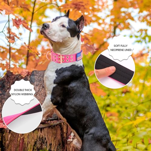 Heavy Duty Tactical Dog Collar with Neoprene Padded and Metal Buckle, Reflective Nylon for Medium to Large Dogs(Pink, Medium) - color: Pink, size: Medium (Pack of 1)