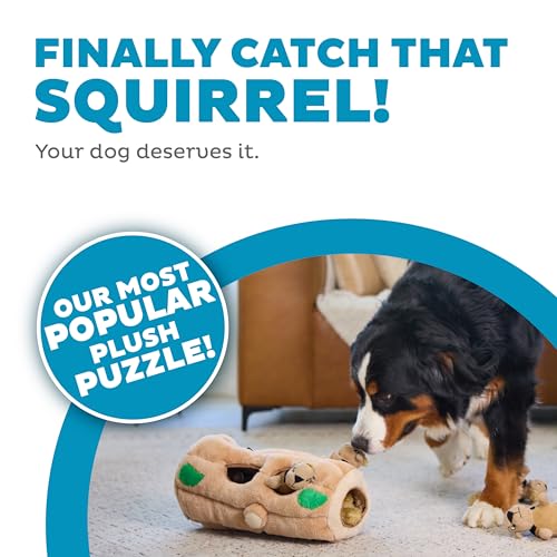 Outward Hound Hide-A-Squirrel Dog Toy – Interactive 2‑in‑1 Plush Puzzle with 6 Squeaky Removable Squirrels, X-Large - color: Squirrel Xlarge