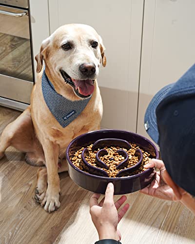 LE TAUCI Slow Feeder Dog Bowls Ceramic, 3 Cups Slow Feeding Dog Bowl Medium Large Breed, Pet Bowl for Fast Eaters, Puzzle Pet Dishes, Maze Purple - color: Maze Purple, size: L-3 Cups