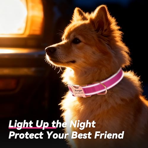 Personalized Reflective Dog Collar with Name and Phone Number, Engraved Pet ID Tag, Adjustable Nylon Collar with Quick Release Metal Buckle