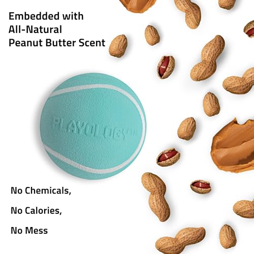 Playology Dog Toys | Squeaky Chew Ball for Dogs, Value 3-Pack | Peanut Butter Scented Small Dog Balls | Bouncy Floating Chew Toys for Fetch