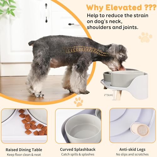 Elevated Slow Feeder Dog Bowls - Ceramic Food and Water Bowl Set with Stand - Raised Pet Dishes for Small and Medium Sized Dogs - color: Grey
