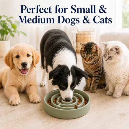 Ceramic Slow Feeder Dog Bowls with Anti-Slip, Slow Feeder & Non-Slip Design, Boredom and Anxiety Reducer, Suitable for All Breed Dogs and Cat (Ceramic-Green) - color: Ceramic-Green