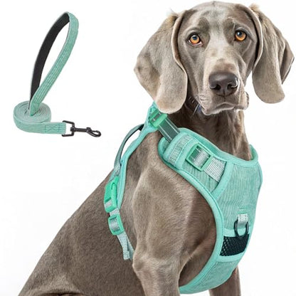BEAUTYZOO No Pull Dog Harness, Adjustable Dog Harness and Leash Set -Easy Wearing with 3 Buckles/Control Handle,No Choke Soft Padded Reflective Pet Vest for Training Walking Hiking,Solid Aqua Blue XL - color: Solid Aqua Blue, size: XL: chest 22"-44"