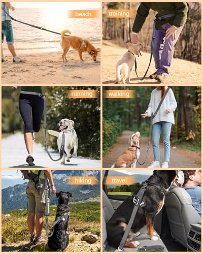 Hands Free Dog Leash with Seatbelt, 9.5 FT Adjustable Handheld/Crossbody/Waist Leash for Dog Walking, Reflective, 360° Tangle-Free, Shock Absorbing for Medium & Large Dogs. - color: Grey
