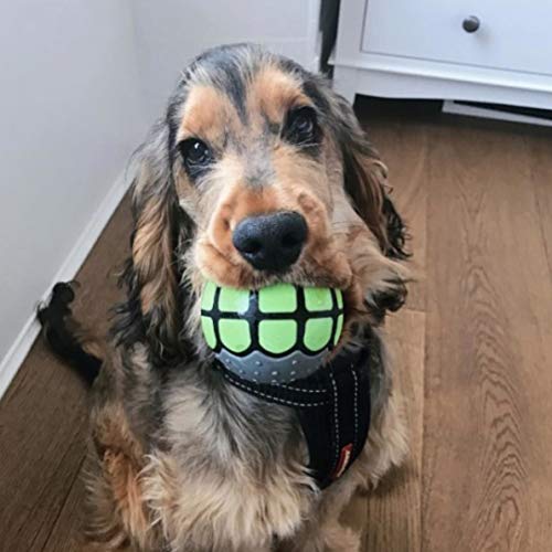 Dog Balls Toys Squeaky Fetch - Rubber Funny Ball Gifts for Large Medium Dogs (Variety Pack) - color: Variety