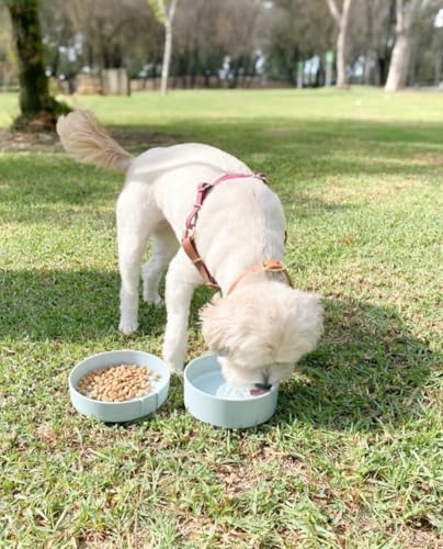 Barkin’ Trails Travel Dog Bowls, Portable Outdoor Water, BPA-Free Water Bowl Set, Food Grade Plastic Dog Travel Bowl, Dog Camping Essentials, Travel Container - color: Icy Blue