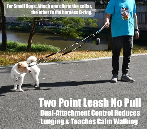 Two Point Control & Hands Free Dog Leash, Waist & Crossbody Leash with Car Seat Belt Clip, Heavy Duty Reflective & Tangle-Free, No Pull Harnesses Compatible for Large Medium Dogs, Black