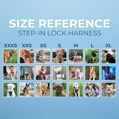 Best Pet Supplies Voyager Step-in Lock Pet Harness w Reflective Pet Leash Combo Set with Neoprene Handle 5ft - Supports Small, Medium and Large Breed Puppies/Cats - Baby Blue, XL - color: Harness Leash Set (Baby Blue), size: XL (Chest: 23 - 28")
