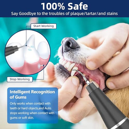 Plaque Remover for Teeth, Pet Ultrasonic Cleaner, Dog Plaque and Tartar Remover with LED Light, Dog Teeth Cleaning Dental Care Kit for Tartar and Stains, Suitable for Dogs and Cats (Black) - color: Black