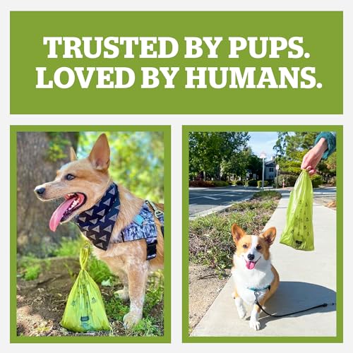 Pogi’s Dog Poop Bag Dispenser – Holder with Metal Carabiner for Leashes, Includes 15 Fresh Scented Bags - color: Unscented, size: 1 Count (Pack of 15)