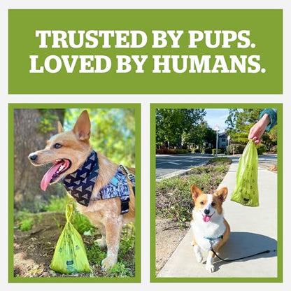 Pogi’s Dog Poop Bag Dispenser – Holder with Metal Carabiner for Leashes, Includes 15 Fresh Scented Bags - color: Unscented, size: 1 Count (Pack of 15)