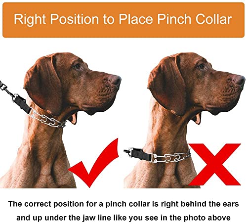 Dog Prong Collar, Adjustable Dog Training Collar with Quick Release Buckle for Small Medium Large Dogs - color: Black, size: L/3.5mm (Neck: 18"-20" Weight: 70 lbs)