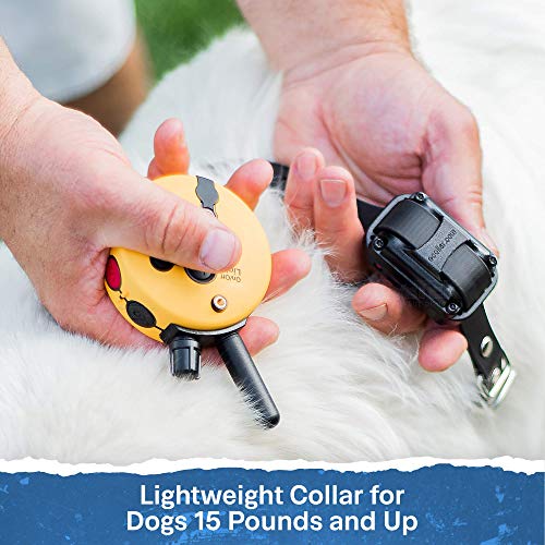 Educator ET-300 Mini E Collar for Dog Training with Remote - 1/2 Mile Range, Waterproof, 100 Blunt Stimulation Levels, Tone or Vibration Mode, Night Light Tracking for Small, Medium & Large Dogs - size: 1-Dog (ET-300)