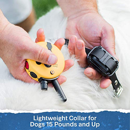 Educator ET-300 Mini E Collar for Dog Training with Remote - 1/2 Mile Range, Waterproof, 100 Blunt Stimulation Levels, Tone or Vibration Mode, Night Light Tracking for Small, Medium & Large Dogs - size: 1-Dog (ET-300)