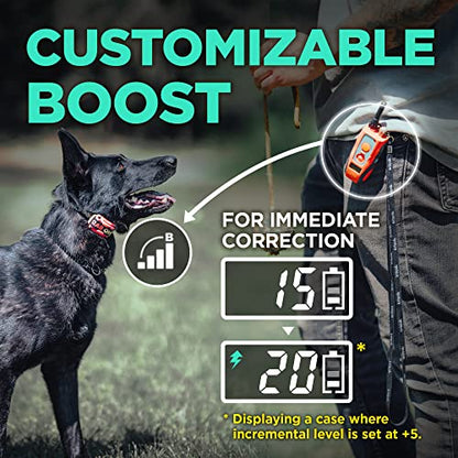 Dogtra E-Collar Tom Davis 280C Boost & Lock, Waterproof, 1/2-Mile Range Dog Training Collar with Remote, Rechargeable, 127 Levels, Vibration, Bungee, No Bad Dogs Trainer for Small, Medium, Large Dogs - color: Tom Davis 280C