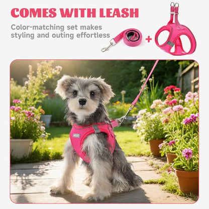 Dog Harness Small Sized and Leash Set, Step in Soft Light Puppy Vest, Breathable Mesh Pet Harness, Reflective for Safe Easy Walking. - color: Pink, size: X-Small (Pack of 1)