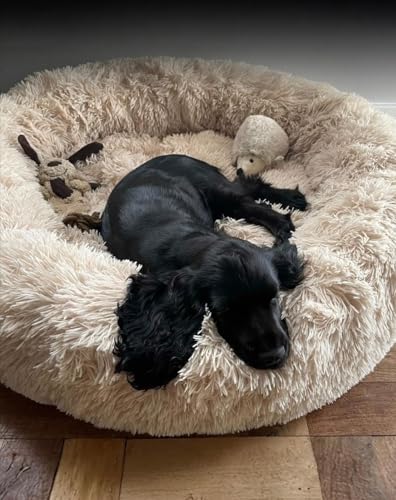 The Dog’s Bed Calming Donut Dog Bed, Plush Faux Fur Round Cuddler Nest – CertiPUR-Certified Foam, One-Piece Design, Raised Bolster – Medium (30"), Beige