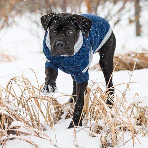 GF PET Trekking Sweater | Quality Multi-Knit Turtleneck for Small, Medium, Large Dogs | Warm Striped Heathered Pullover with Ribbed Armholes | 100% Acrylic | Machine Washable - Blue - Med - color: Blue, size: Medium