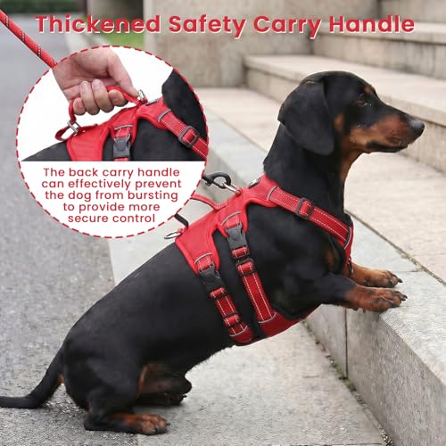 Escape Proof Dog Harness and Leash Set,Soft Padded Full Body Pet Harness, No Pull Reflective Adjustable Dog Vest with Handle, Easy Control Dog Harness for Medium Large Dogs Training Walking Running - color: Red, size: M