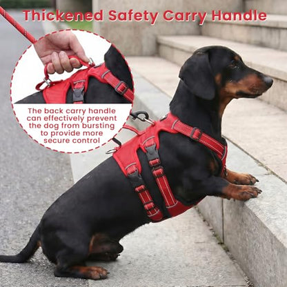 Escape Proof Dog Harness and Leash Set,Soft Padded Full Body Pet Harness, No Pull Reflective Adjustable Dog Vest with Handle, Easy Control Dog Harness for Medium Large Dogs Training Walking Running - color: Red, size: M