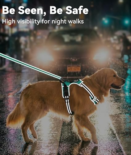 Joytale No Pull Dog Harness Medium Sized Dog, Reflective Pet Vest with Front Clip, Adjustable Soft Padded Harnesses with Easy Control Handle for Training and Walking, Teal, M - color: Teal, size: Medium