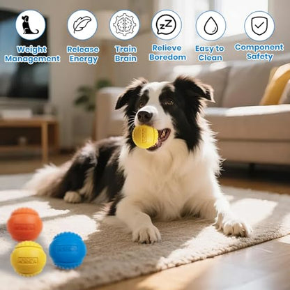 10 Pack Dog Balls, Size Medium for Dogs 20-60 lbs, Bite Resistant Elastic Balls for Dogs with Mesh Bag, Durable Rubber, Floating Dog Balls, 2.5-inch Diameter - size: 10 PCS