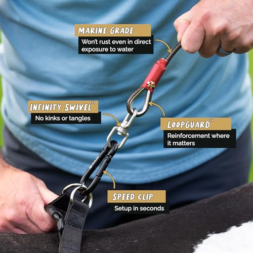 ROYAL PAW Dog Tie Out Cable and Stake 30ft - for Large Dogs up to 300 lbs - Heavy Duty Tether and Dog Stake for Yard, Beach & Camping Outside (Black, L/XL - 30ft) - size: L/XL - 30ft