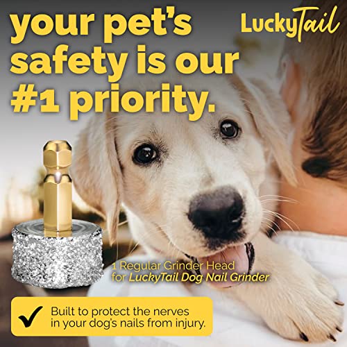 LUCKY TAIL - Dog Nail Grinder - Regular - Replacement Head - for Small, Medium & Large Dogs - Premium Quality - Diamond Tip Drill Bit - Professional Dog Nail Trimmers - Grooming Tool kit - 1 Pack - size: One Pack