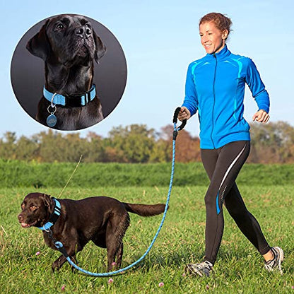 Ladoogo Reflective Dog Collar Padded with Soft Neoprene Breathable Adjustable Nylon Dog Collars for Small Medium Large Dogs (X-Small (Pack of 1), Vivid Blue Collar+Leash) - color: Vivid Blue Collar+Leash, size: X-Small (Pack of 1)