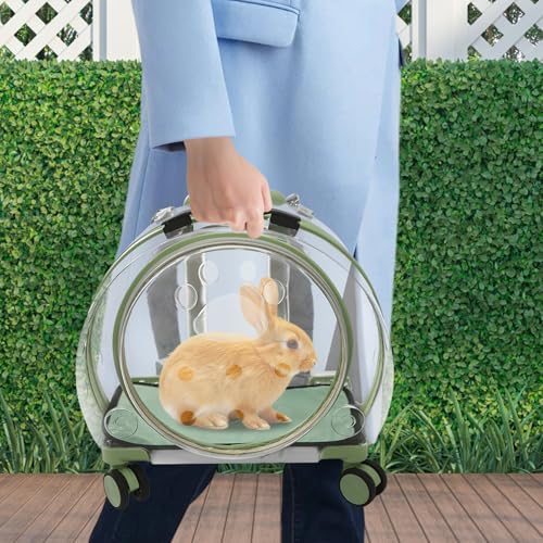 Cat Carrier with Wheels, Breathable Cat Rolling Carrier with Telescopic Handle, Bubble Cat Backpack Carrier, Clear Pet Travel Bag for Small Dogs Pets, up to 19lbs, 15.7" x 10.6" x 17.7" (Green) - color: Transparent Green