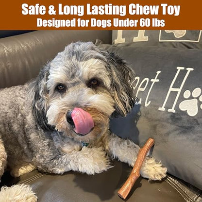 SPOT Bam-Bones Plus Branch -Bamboo Fiber & Nylon, Durable Long Lasting Dog Chew for Aggressive Chewers – Great Toy for Adult Dogs & Teething Puppies Under 60lbs, Non-Splintering, 5.75in, Beef Flavor - size: 5.75 inch (Pack of 1)