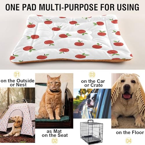 Apples Pattern Pet Bed Mat for Dogs and Cats, Soft Washable Crate Pad with Non-Slip Bottom, Cozy Bed Cushion for Small Medium Large Pets, 24x36 Inch - size: Medium