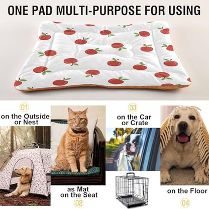 Apples Pattern Pet Bed Mat for Dogs and Cats, Soft Washable Crate Pad with Non-Slip Bottom, Cozy Bed Cushion for Small Medium Large Pets, 24x36 Inch - size: Medium