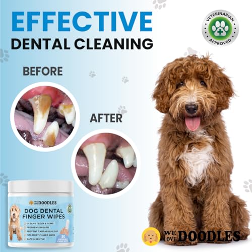 We Love Doodles 50pcs Dog Teeth Cleaning Wipes & Bath Brush Bundle - Dental Finger Wipes & Rubber Brush for Shower Scrubbing & Massage, 2 Pack