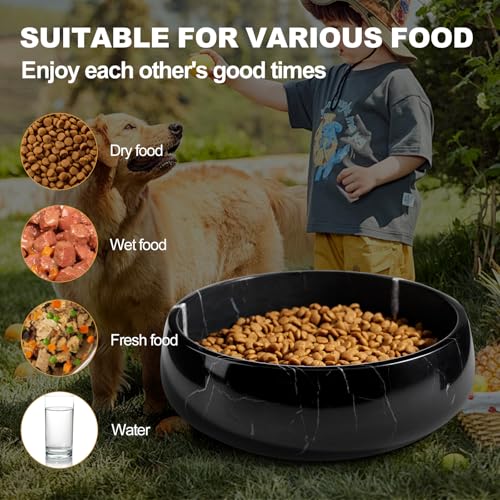 Karibiber Natural Marble Dog Bowl, 5lbs Non Slip Dog Food Bowl, Non Spill Weighted Water Bowls for Large Dogs, Durable Big Dogs Dish, Puppy Pet Bowls, Easy to Clean, Holds 6.5 Cups(Spain Black) - color: Black, size: L