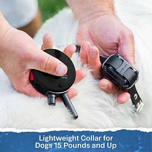 Educator ET-300 Black Mini E Collar for Dog Training with Remote - 1/2 Mile Range, Waterproof, 100 Blunt Stimulation Levels, Tone or Vibration Mode, Night Light Tracking for Small, Medium & Large Dogs - size: 1-Dog (ET-300 Black)