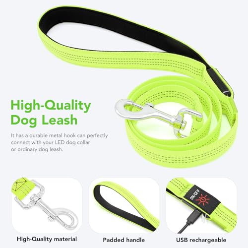 Colaseeme LED Light Up Dog Leash, USB Rechargeable (4FT,Green-New) | Glow in dark, reflective, USB-C rechargeable, bright LED for night safety, fits small to large dogs - color: Green (New), size: 4FT