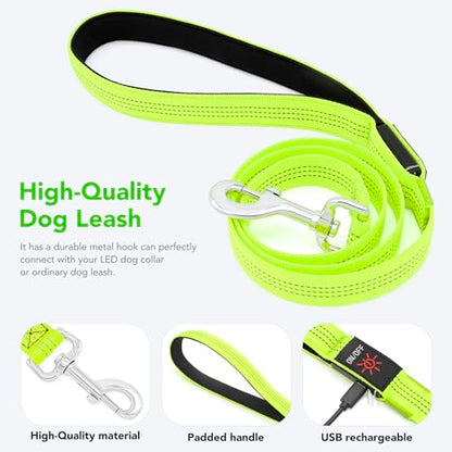 Colaseeme LED Light Up Dog Leash, USB Rechargeable (4FT,Green-New) | Glow in dark, reflective, USB-C rechargeable, bright LED for night safety, fits small to large dogs - color: Green (New), size: 4FT