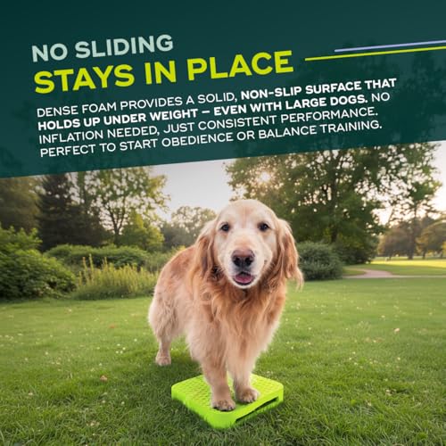 FitPAWS Balance Ramp | Dog Agility Equipment for Balancing, Obedience Training, and Sensory Stimulation
