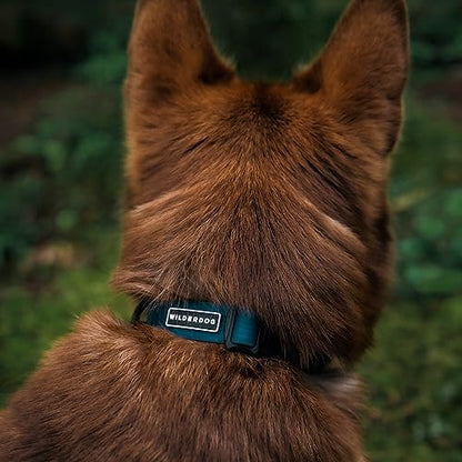 Wilderdog Waterproof Dog Collar - Repels Water & Dirt - Large 17"-24" - Pacific Blue - color: Pacific Blue, size: Large